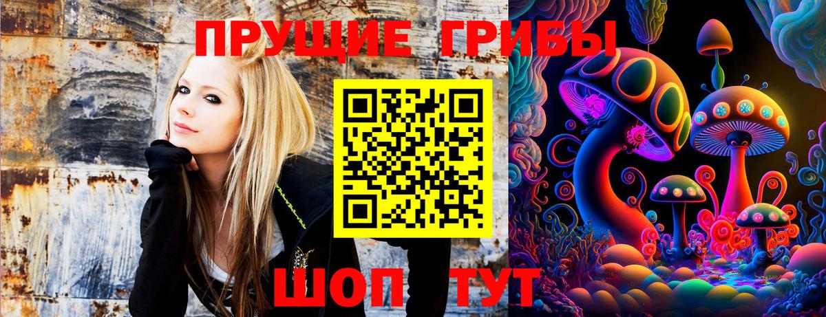 Кинешма  Галлюциногенные грибы мицелий  Вход с VPN  Галлюциногенные грибы Magic Shrooms 